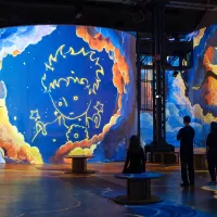 visuel le petit prince principal