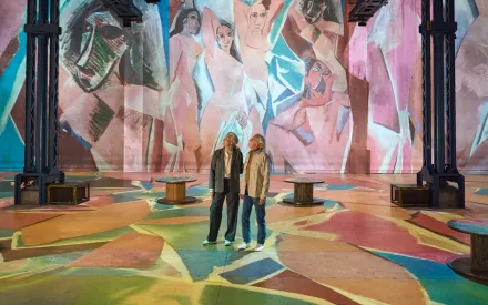 demoiselles d'avignon picasso public