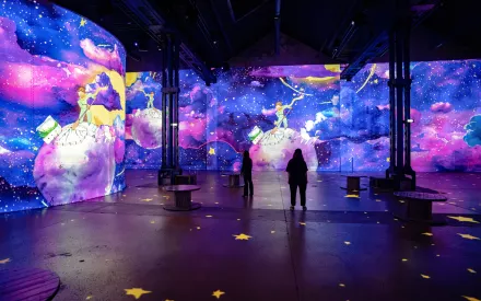 projection exposition immersive petit prince