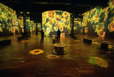 projection tournesols van gogh fonderie