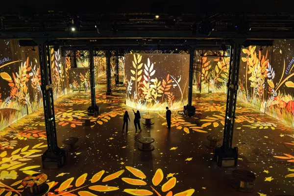 le petit prince hall 