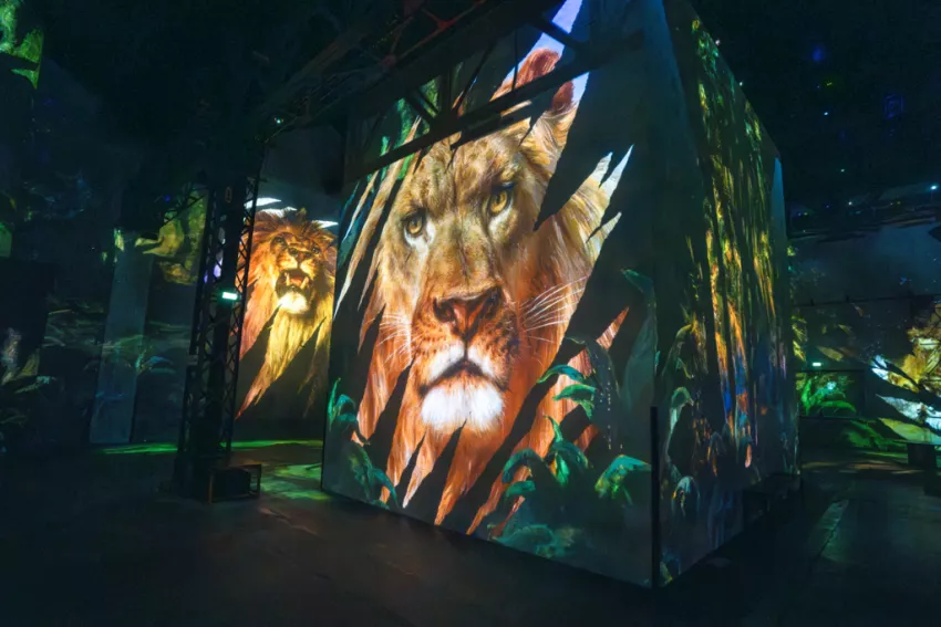 Les Orientalistes © Culturespaces / C. de la Motte Rouge