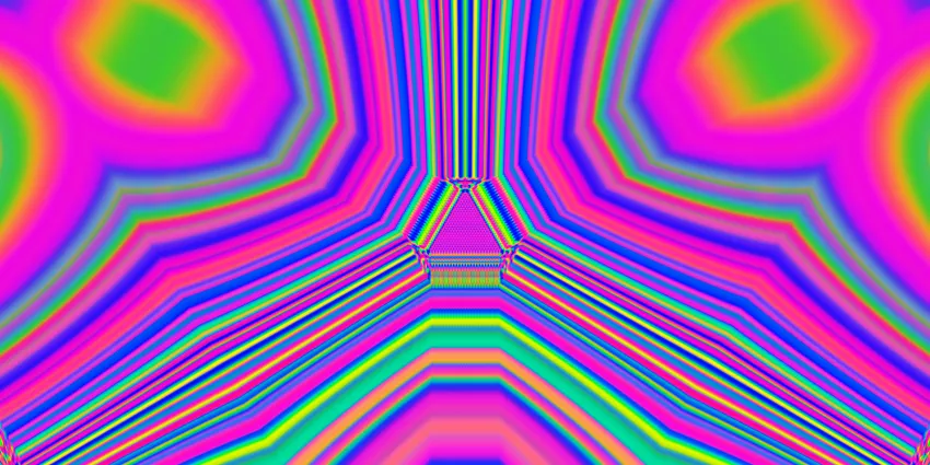 © Studio CITIYSHAKE