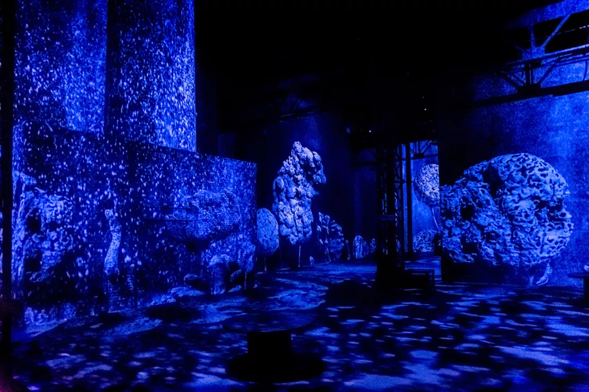 © Culturespaces / E. Spiller